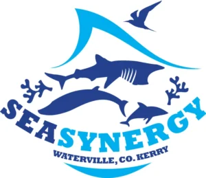 seasynergy-logo