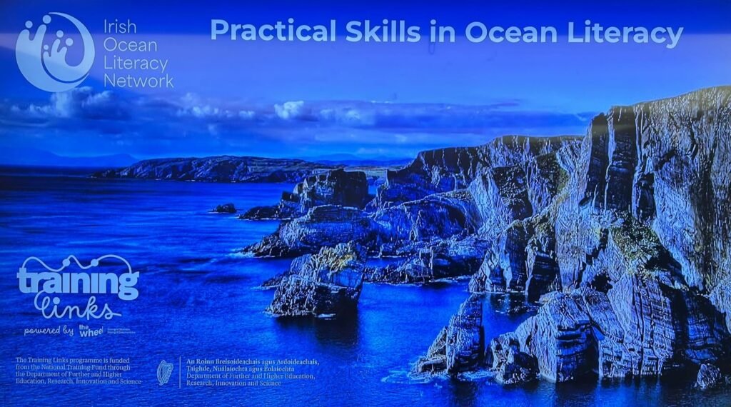 Ocean Literacy Skills, Collaboration, and Connection: A Day with the IOLN in Cork