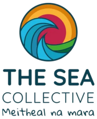 theSeaCollectiveTransaparent