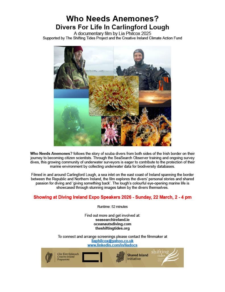 Film Screening: Who Needs Anemones? | IOLN x Dive Ireland