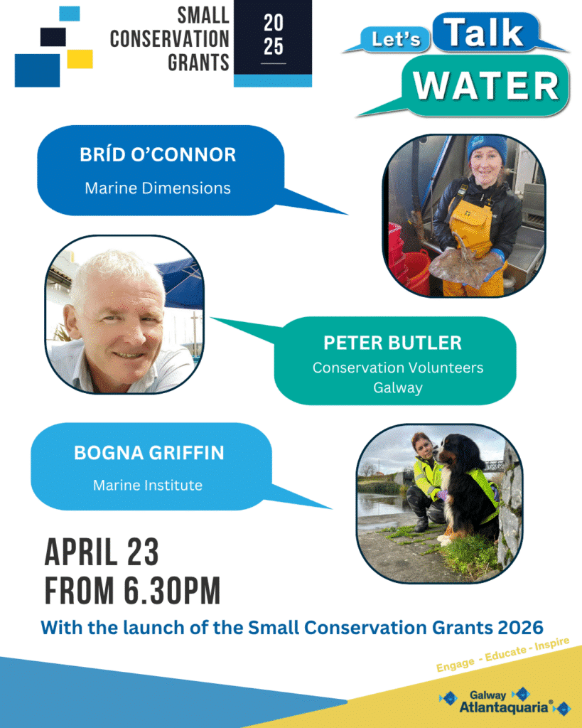Galway Atlantaquaria Small Conservation Grants 2026 Now Open
