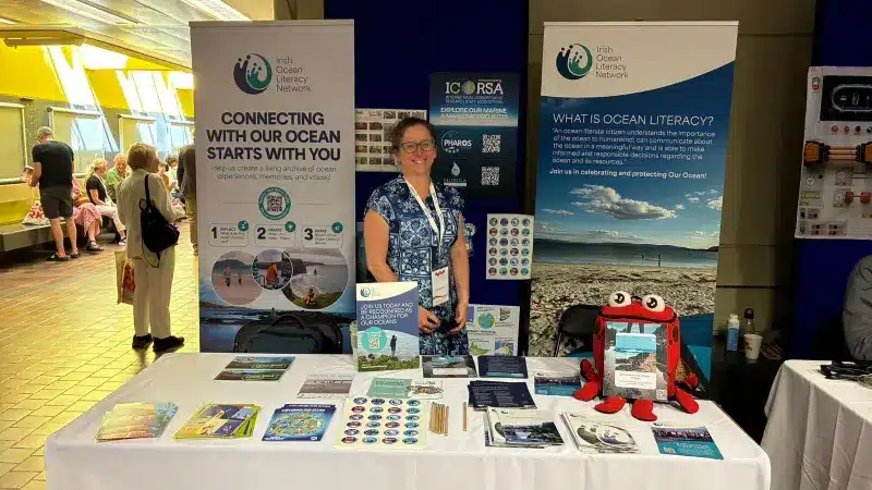 Collaboration Across 18 Countries: Key Takeaways from the ICASE Conference