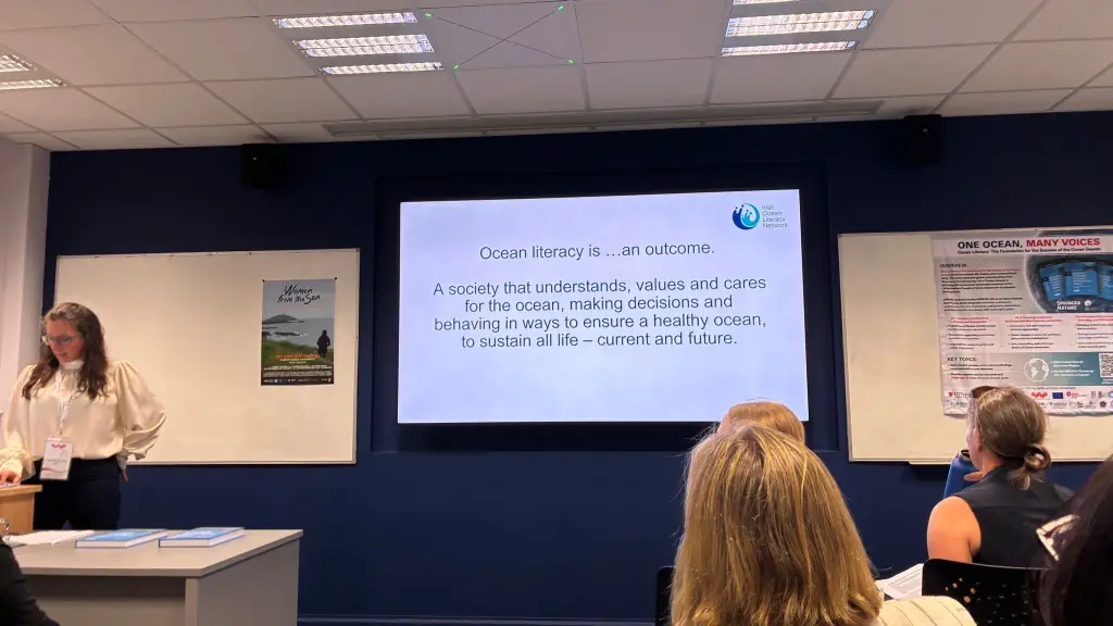 Collaboration Across 18 Countries: Key Takeaways from the ICASE Conference