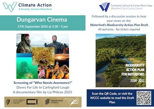 Film Screening: Who Needs Anemones? | Dungarvan