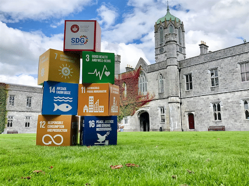 Film Screening: Who Needs Anemones? | University of Galway SDG Week 2026